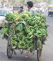 Banana delivery bicycle